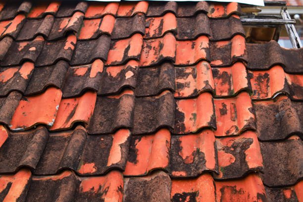 classic tile roof cleaning
